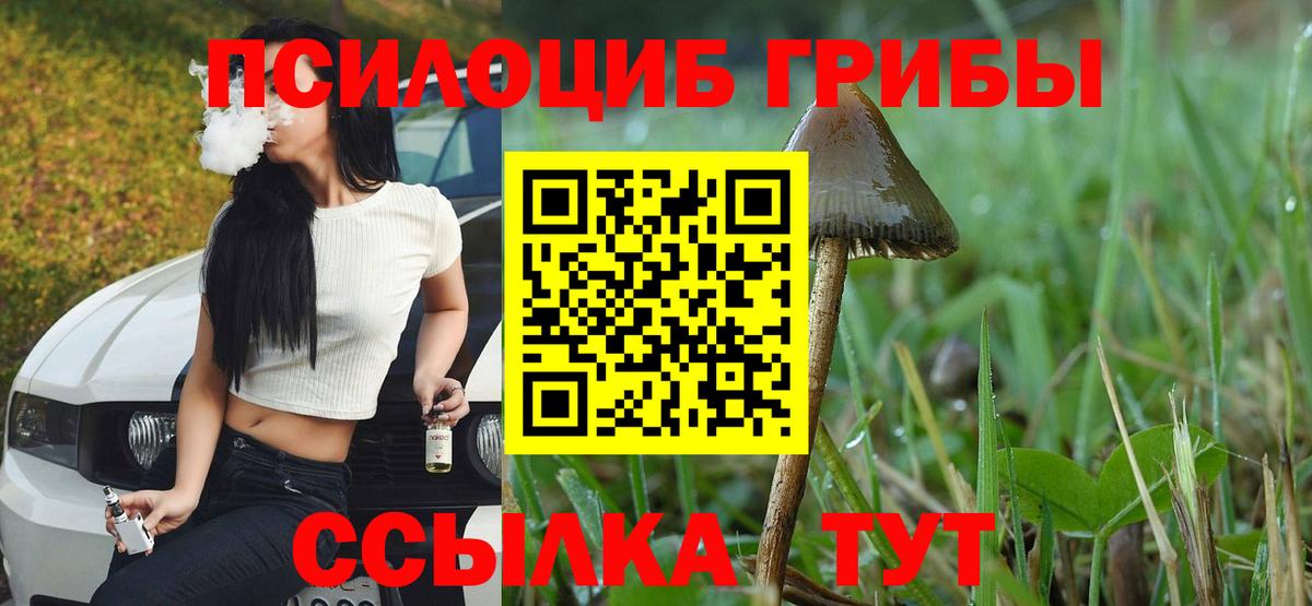 Псилоцибиновые грибы Cubensis  Вход с VPN  Учалы  Псилоцибиновые грибы Cubensis 